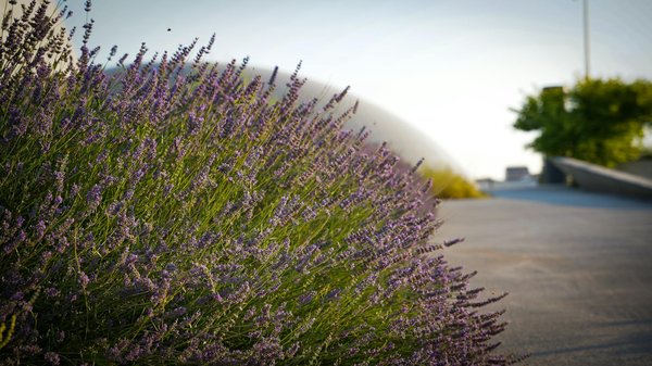Idées créatives de papier peint pour la chambre des ados