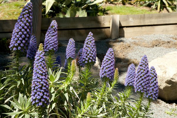 Des idées déco intérieure pour un chez-soi inspirant